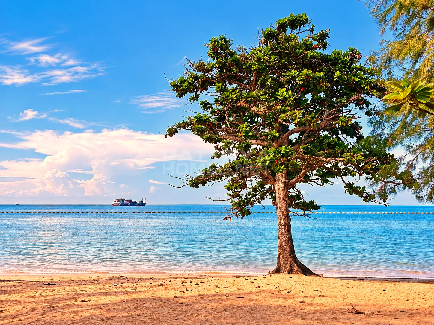 Studio att hyra i Pattaya Condotel Chain – 14