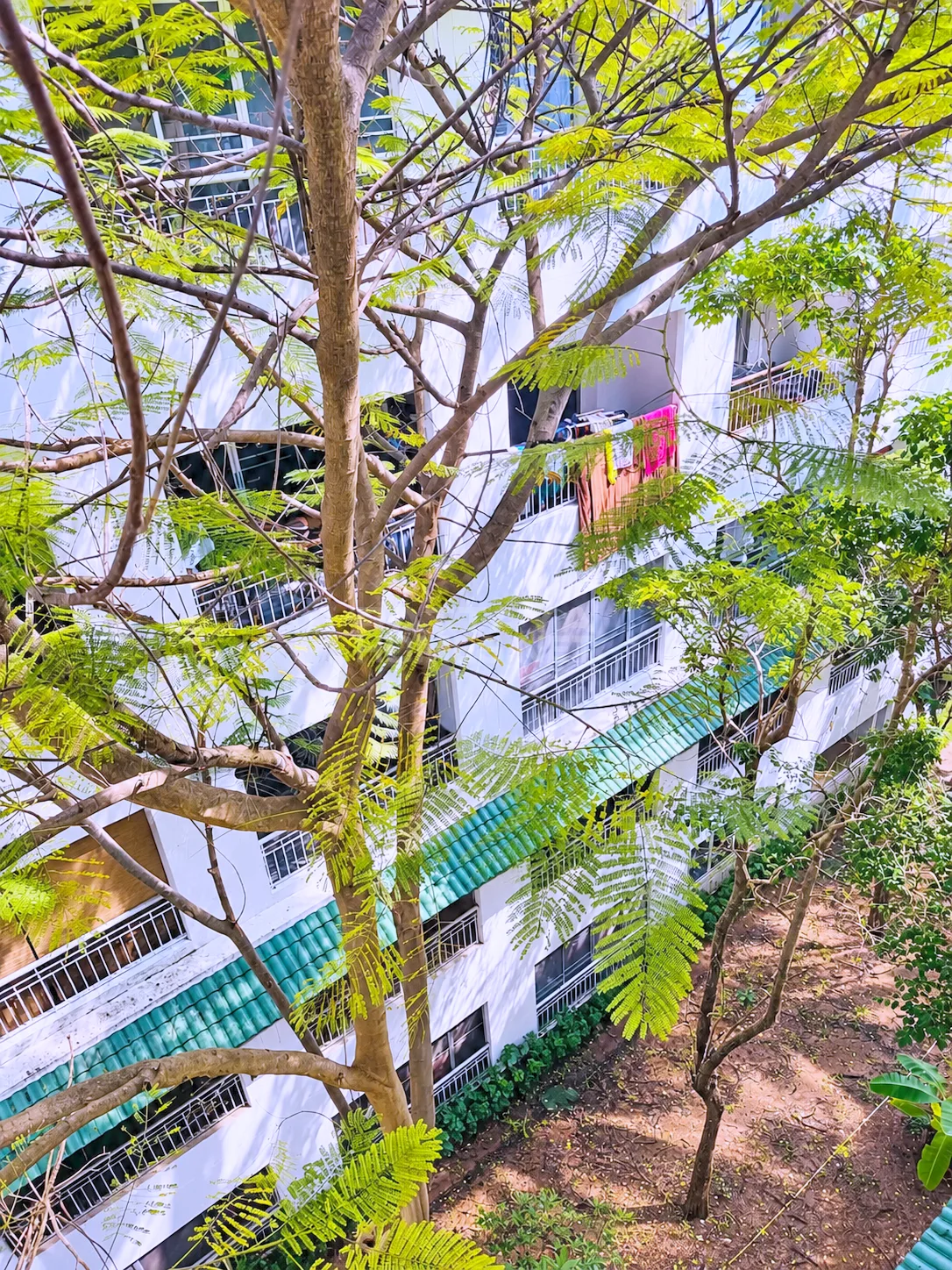 Студия на продажу в Baan Suan Lalana – 12